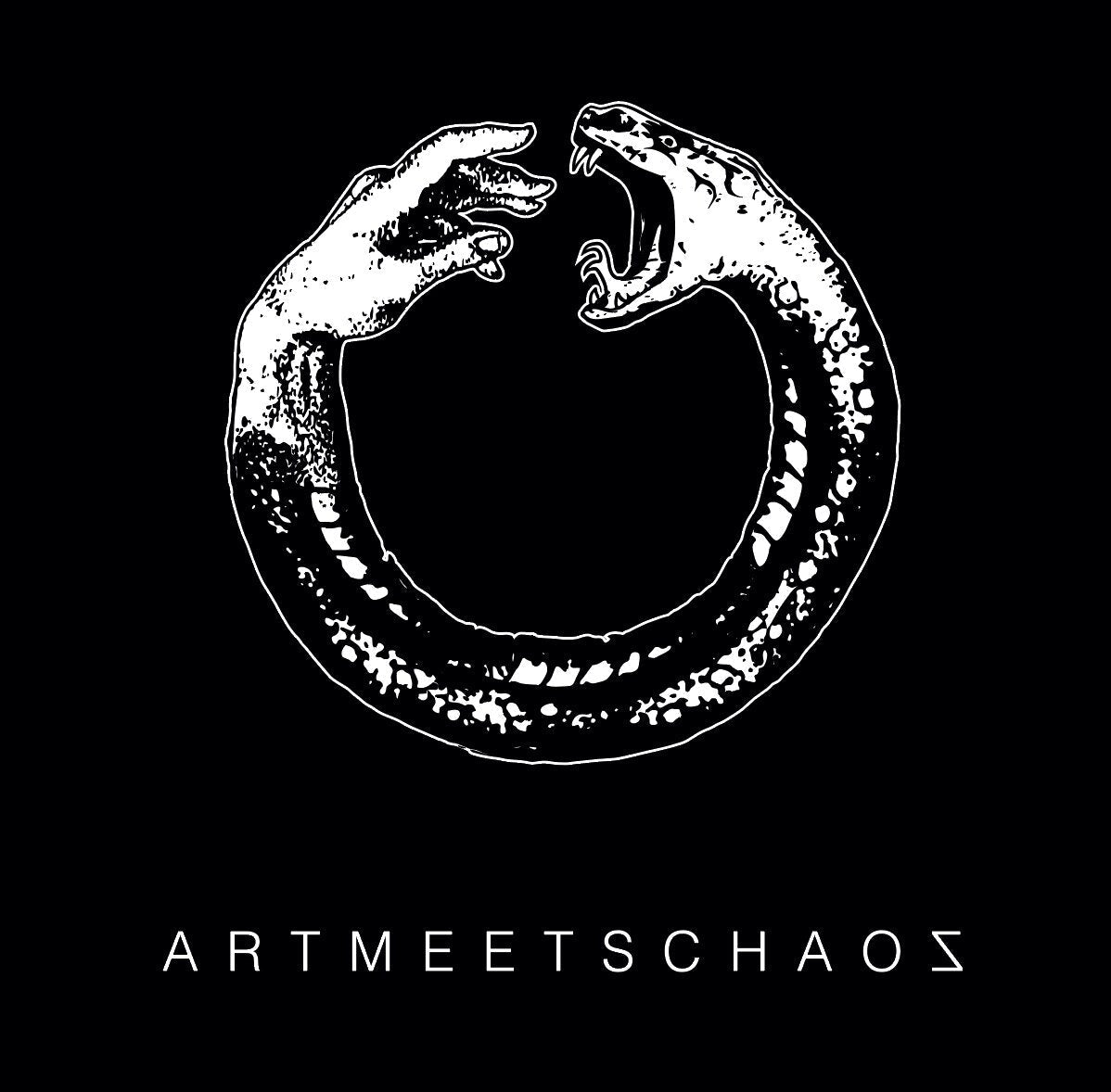 ART MEETS CHAOS