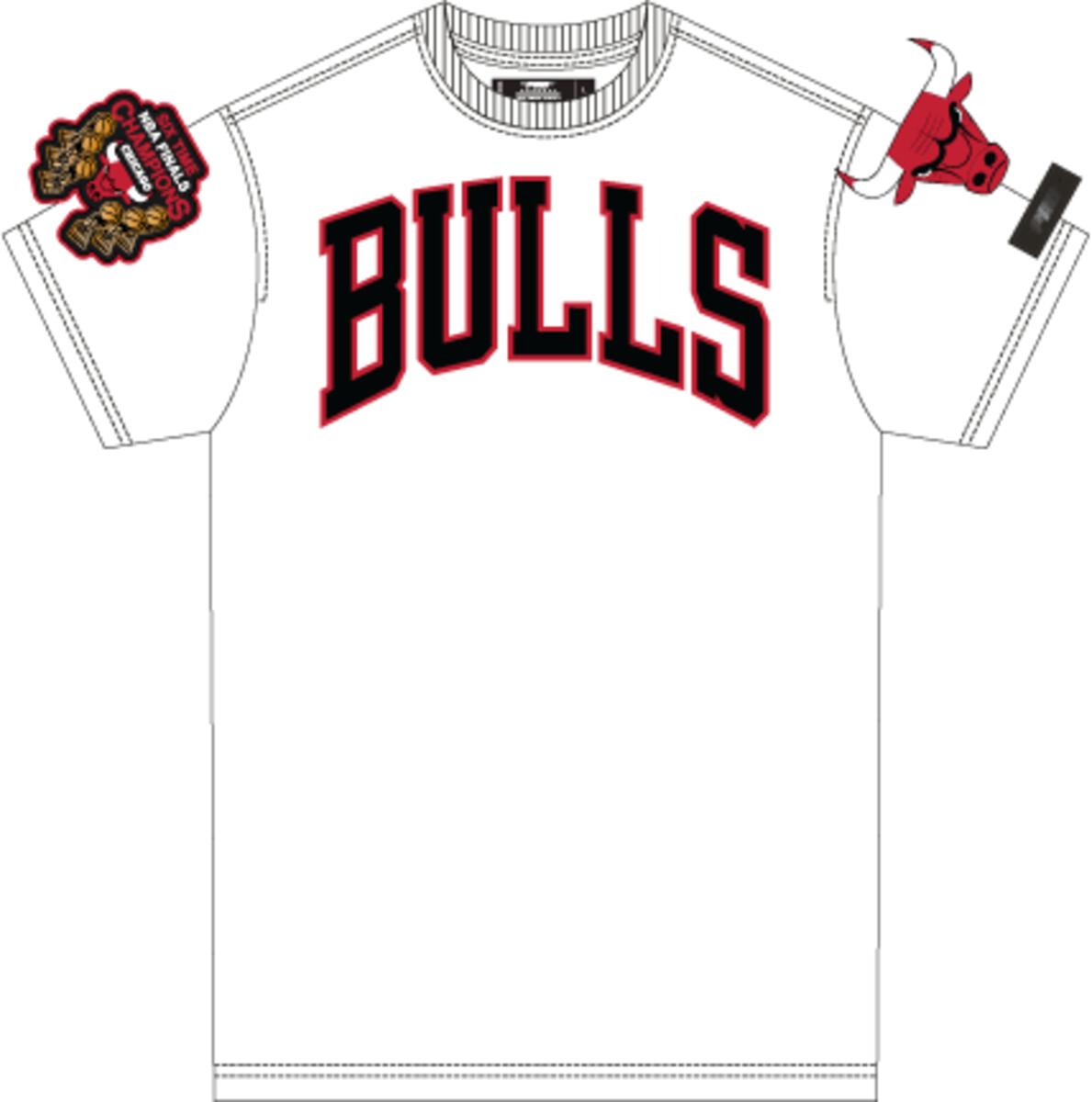 PRO STANDARD CHICAGO BULLS CLASSIC CHENILLE SJ TEE (BCB151539)